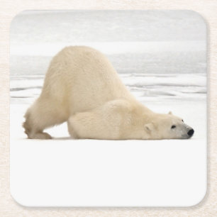 Eisbär kratzt sich auf gefrorener Tundra Rechteckiger Pappuntersetzer