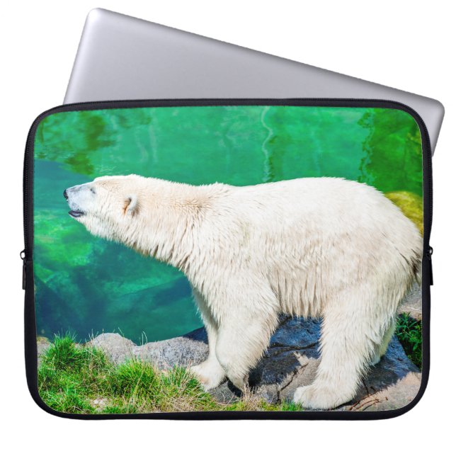 Eisbär Laptopschutzhülle (Vorderseite)