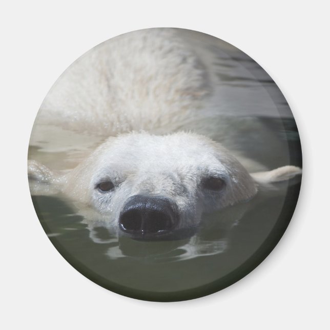Eisbär Magnet (Vorne)