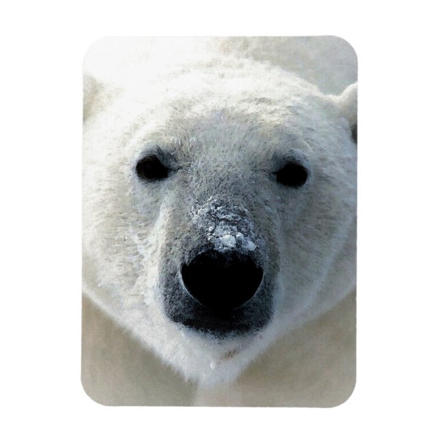 Eisbär Magnet (Vertikal)
