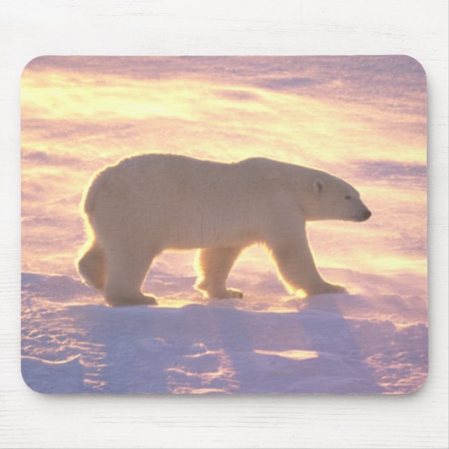 Eisbär-Morgen 3 Mousepad (Vorne)