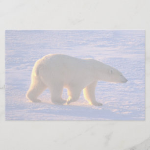 Eisbär-Morgen Briefpapier