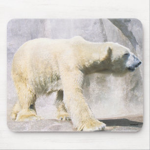 Eisbär Mousepad