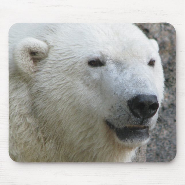 Eisbär Mousepad (Vorne)