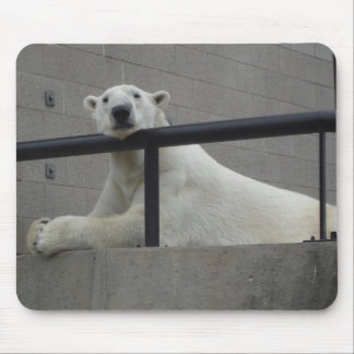 Eisbär Mousepad