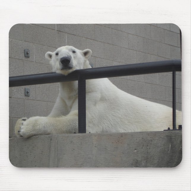Eisbär Mousepad (Vorne)