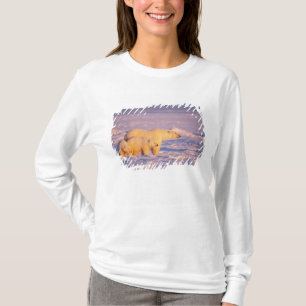 Eisbär-Mutter mit Frühlingsjungen auf dem gefroren T-Shirt
