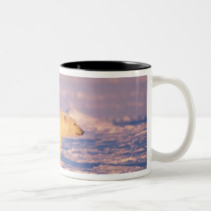 Eisbär-Mutter mit Frühlingsjungen auf dem gefroren Zweifarbige Tasse