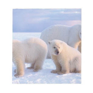 Eisbär-Mutter mit Jungen auf dem Packeis der Küste Notizblock