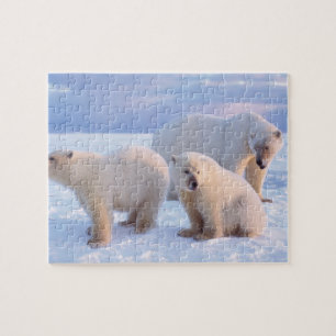 Eisbär-Mutter mit Jungen auf Packeis der Küste Puzzle