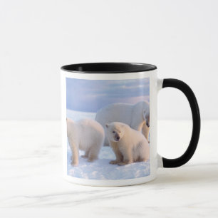 Eisbär-Mutter mit Jungen auf Packeis der Küste Tasse