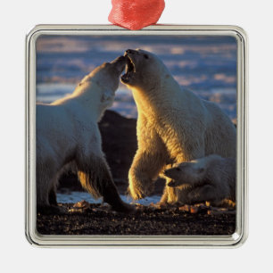 Eisbär-Mütter mit Jungtier an der Seite, 1002 Küst Silbernes Ornament
