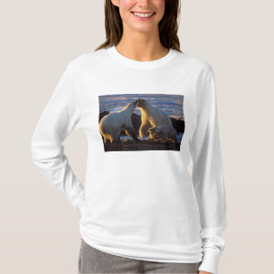 Eisbär-Mütter mit Jungtier an der Seite, 1002 Küst T-Shirt