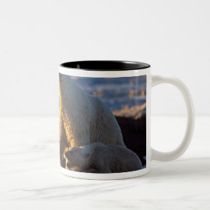 Eisbär-Mütter mit Jungtier an der Seite, 1002 Küst Zweifarbige Tasse