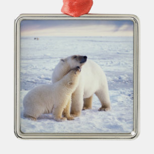 Eisbär-Mutter mit Jungtier, Rudel Silbernes Ornament