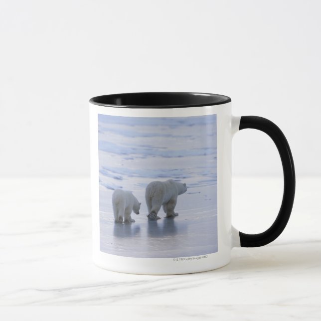 Eisbär-Mutter und CUB Tasse (Rechts)