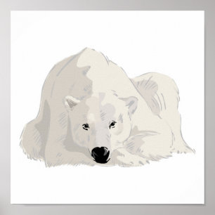 Eisbär Poster