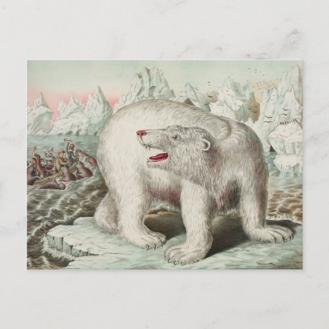 Eisbär Poster Postkarte (Vorderseite)