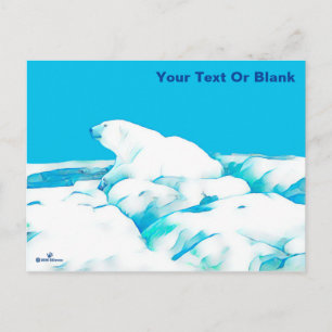 Eisbär Postkarte