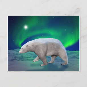 Eisbär Postkarte