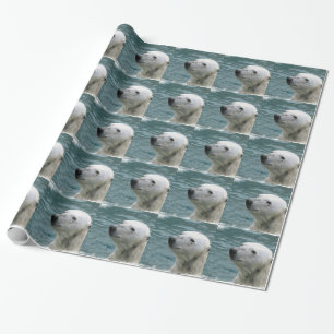 Eisbär-Profil Geschenkpapier