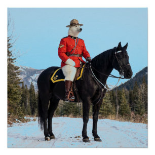 Eisbär RCMP Korporal auf Pferd Poster