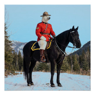 Eisbär RCMP Korporal auf Pferd Poster