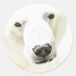 Eisbär Runder Aufkleber