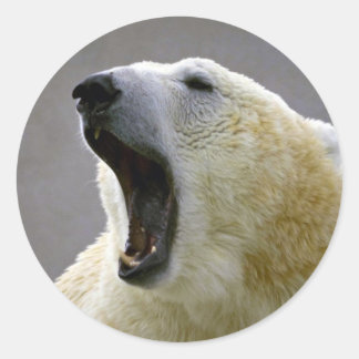 Eisbär Runder Aufkleber