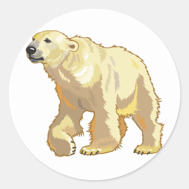 Eisbär Runder Aufkleber (Vorderseite)