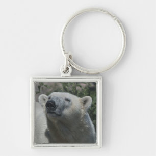Eisbär Schlüsselanhänger