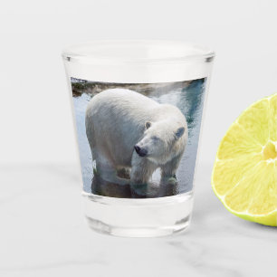 Eisbär-Schnapsglas Schnapsglas