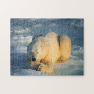 Eisbär sonnt sich, Puzzle