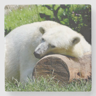 Eisbär Steinuntersetzer