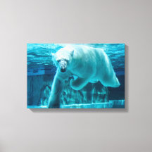 Eisbär-Tauchgang klares blaues Wasser (Landschaft)