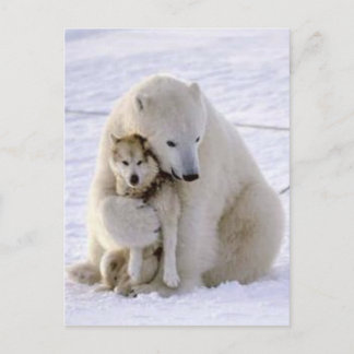 Eisbär und Hund Postkarte