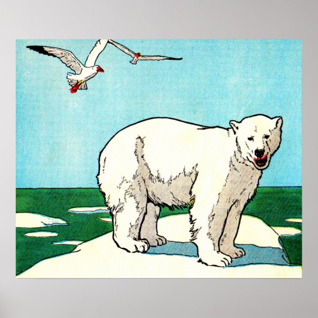 Eisbär und Möwen Poster (Vorne)