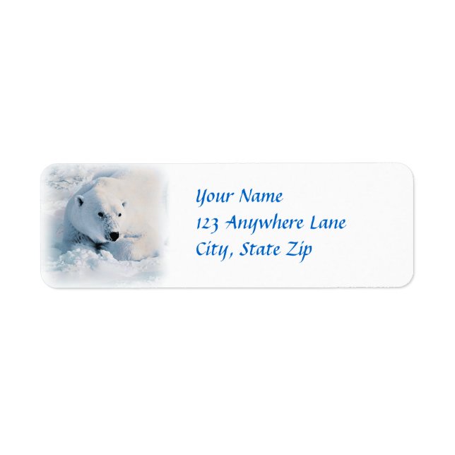 Eisbär und Schnee (Vorne)