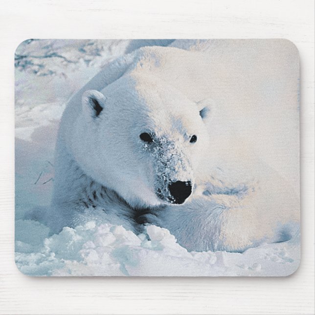 Eisbär und Schnee Mousepad (Vorne)