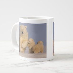 Eisbär, Ursus maritimus, Bache mit neugeborenem Ju Jumbo-Tasse