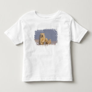 Eisbär, Ursus maritimus, Bärin mit Neugeborenen Kleinkind T-shirt