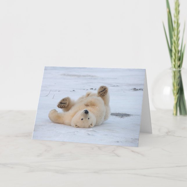 Eisbär, Ursus maritimus, cub rollend 3 Karte (Vorderseite)
