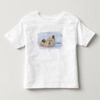 Eisbär, Ursus maritimus, cub rollend 3