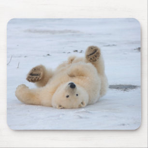 Eisbär, Ursus maritimus, cub rollend 3 Mousepad