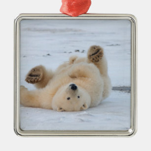 Eisbär, Ursus maritimus, cub rollend 3 Silbernes Ornament