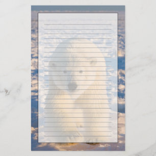 Eisbär, Ursus maritimus, Eisbär auf Eis Briefpapier