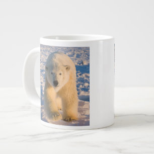 Eisbär, Ursus maritimus, Eisbär auf Eis Jumbo-Tasse