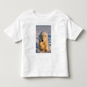 Eisbär, Ursus maritimus, Eisbär auf Eis Kleinkind T-shirt