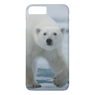 Eisbär, Ursus Maritimus, Erwachsener Case-Mate iPhone Hülle