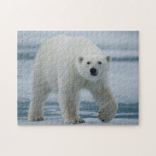Eisbär, Ursus Maritimus, Erwachsener Puzzle